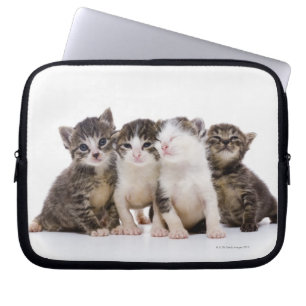 Capa Para Notebook Gatinhos doces