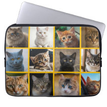 Gatinhos em Todo Lugar