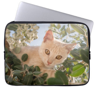 Capa Para Notebook Gatinhos Gatos Bons escalando em uma Árvore Eucaly