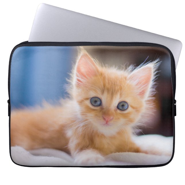 Capa Para Notebook Gato bonito com olhos azuis (Frente)
