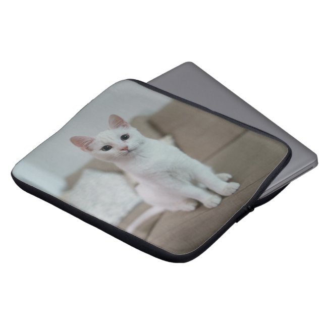 Capa Para Notebook Gato branco | Zazzle_Growth. (Frente Topo)