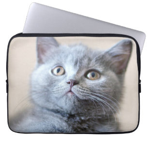Capa Para Notebook Gato britânico cinzento de Shorthair