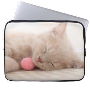 Capa Para Notebook Gato britânico de Shorthair