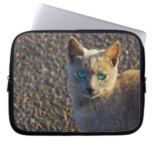 Capa Para Notebook gato de olhos azuis