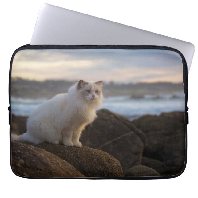 Capa Para Notebook Gato de Ragdoll na praia (Frente)