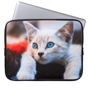 Capa Para Notebook Gato Gelado Adorável De Olhos Azuis De Kitten