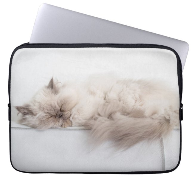 Capa Para Notebook Gato persa (Frente)