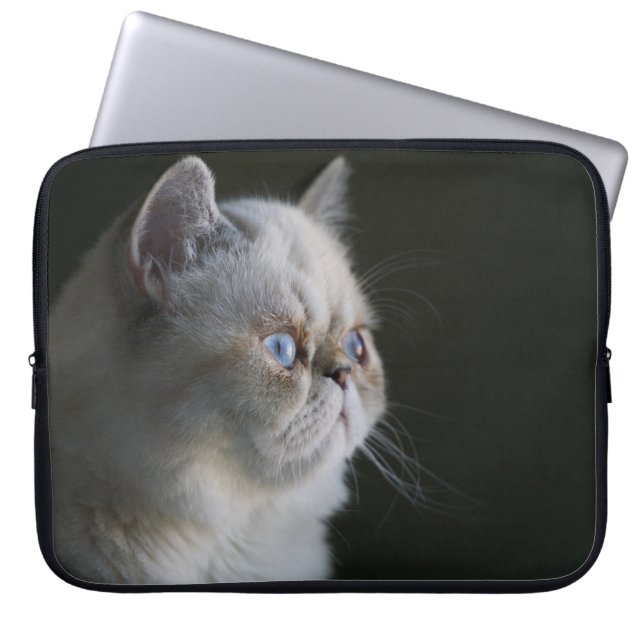 CAPA PARA NOTEBOOK GAZE AZUL (Frente)