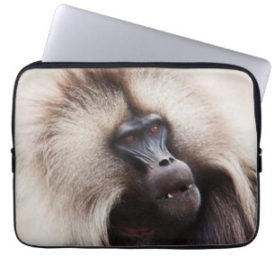 Capa Para Notebook Gelada Baboon, Ethiopia