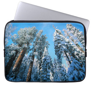Capa Para Notebook Gelo e neve   Sequoia National Park, Califórnia