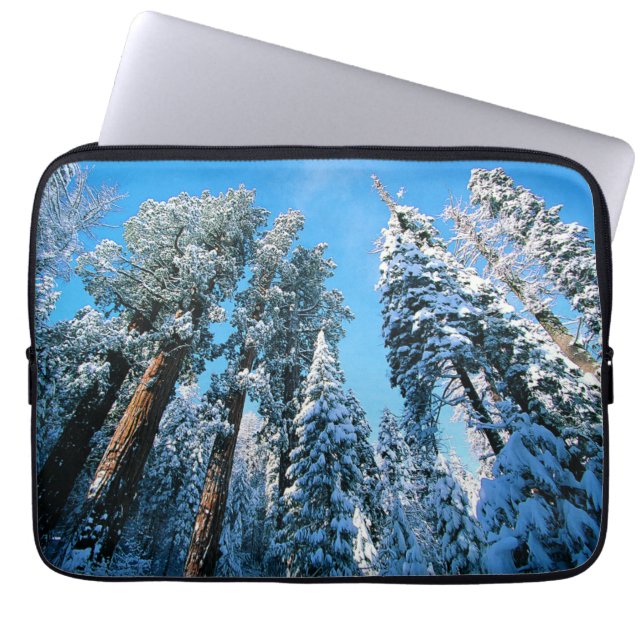 Capa Para Notebook Gelo e neve | Sequoia National Park, Califórnia (Frente)