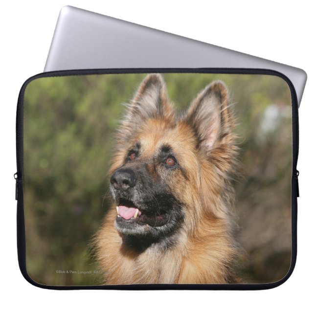 Capa Para Notebook German shepherd de cabelos compridos 1 (Frente)