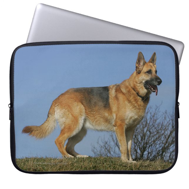 Capa Para Notebook German shepherd de cabelos compridos 2 de Brown (Frente)