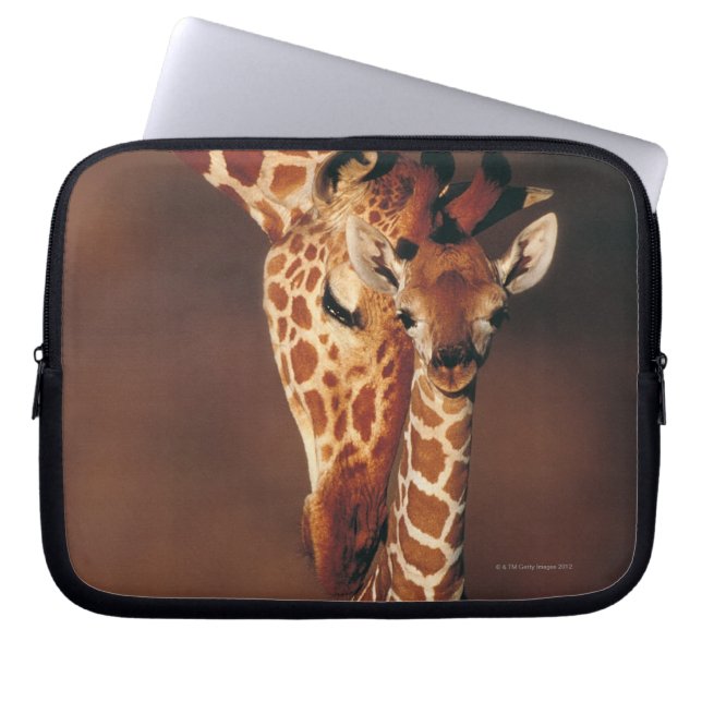 Capa Para Notebook Girafa adulta com vitelo (Girafa camelopardalis) (Frente)
