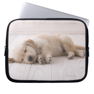 Capa Para Notebook Golden retriever