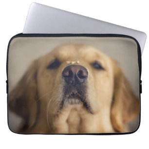Capa Para Notebook Golden Retriever Balancing Treat on Nose