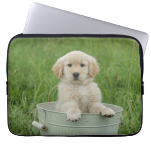 Capa Para Notebook Golden Retriever In Wash Basin