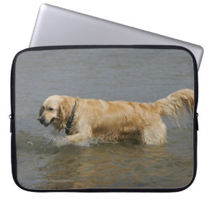 Capa Para Notebook Golden retriever na água