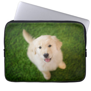 Capa Para Notebook Golden Retriever Puppy on Grass