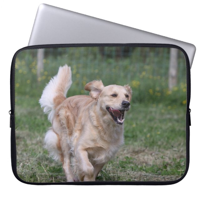 Capa Para Notebook Golden retriever que funciona 1 (Frente)