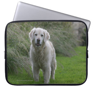Capa Para Notebook Golden retriever que funciona 2