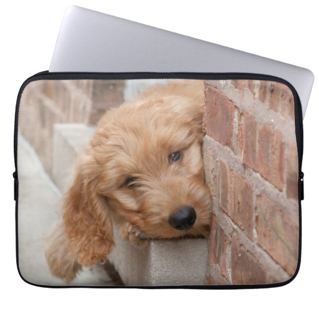 Capa Para Notebook Goldendoodle Puppy Peeking (Frente)