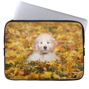 Capa Para Notebook Goldendoodododododle Puppy Em Folhas De Queda