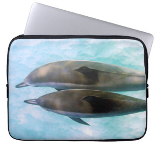 Capa Para Notebook Golfinhos do girador Oahu Havaí