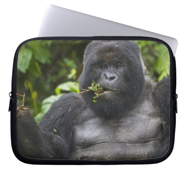 Capa Para Notebook Gorila da Montanha e Silverback (Frente)