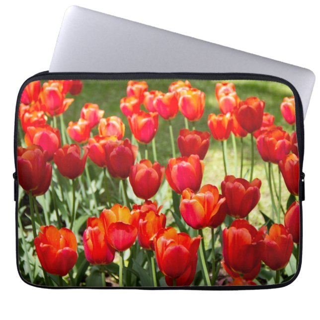 Capa Para Notebook Grande campo de tulipas vermelhas (Frente)