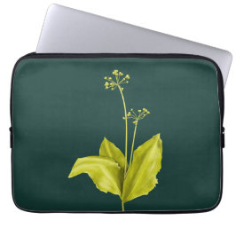 Capa Para Notebook Grelha de Alho Selvagem de Planta Verde