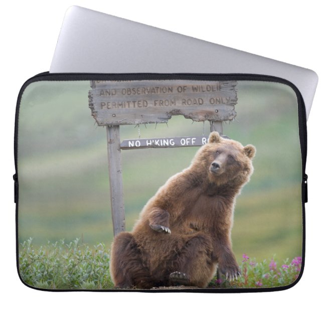 Capa Para Notebook Grizzly Bear Plays With Sign (Frente)