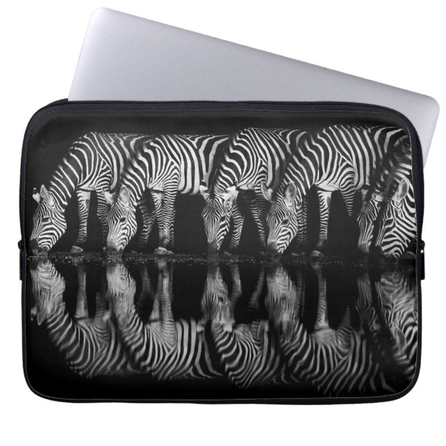 Capa Para Notebook Grupo de Zebras da Planície Bebem Juntas à Noite (Frente)