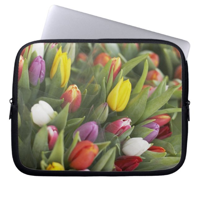 Capa Para Notebook Grupos de tulipas coloridas (Frente)