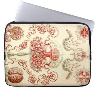 Capa Para Notebook Haeckel Antigo