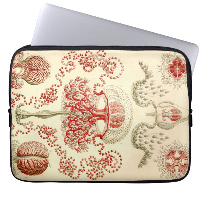 Capa Para Notebook Haeckel Antigo (Frente)