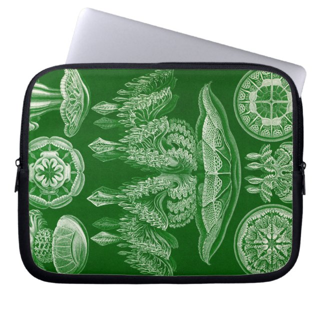 Capa Para Notebook Haeckel Antigo (Frente)
