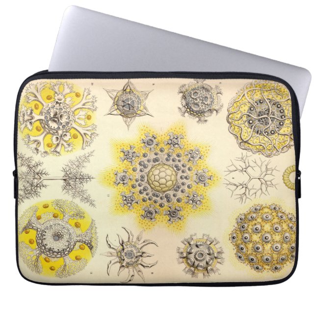 Capa Para Notebook Haeckel Vintage (Frente)
