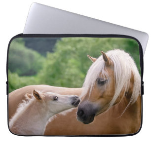 Capa Para Notebook Haflinger Cute Hores Foto e Mamãe Cudling Beijo -