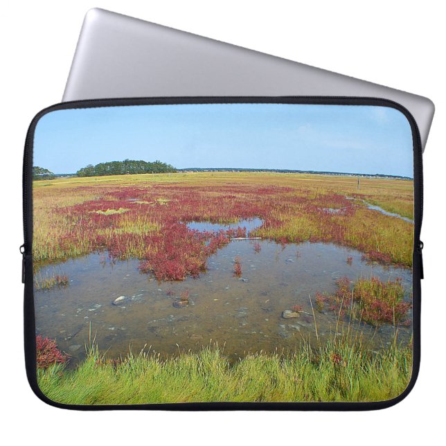 Capa Para Notebook Hammonasset Marsh Bolsa de laptop (Frente)