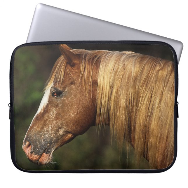 Capa Para Notebook Headshot 1 do cavalo do Appaloosa (Frente)