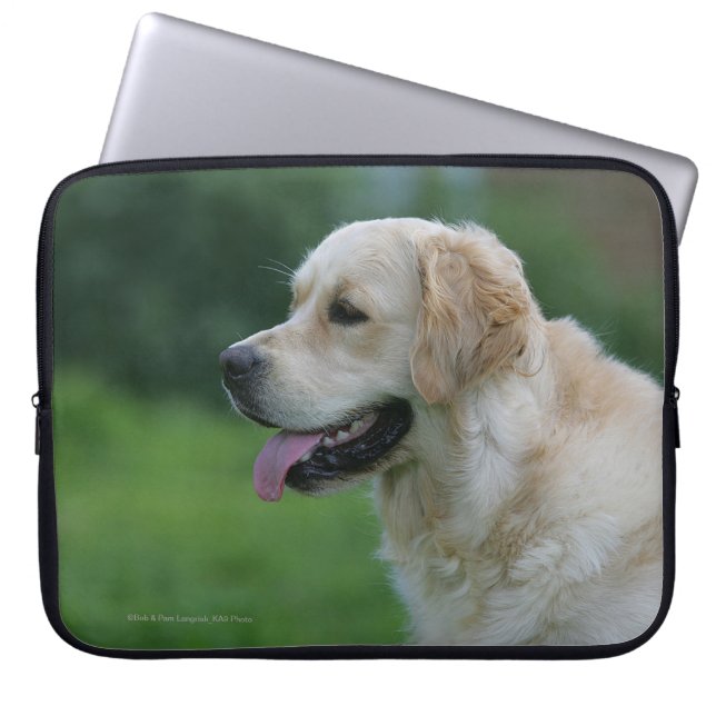 Capa Para Notebook Headshot 2 2 do golden retriever (Frente)