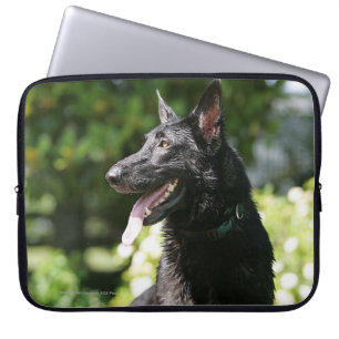 Capa Para Notebook Headshot 2 do german shepherd