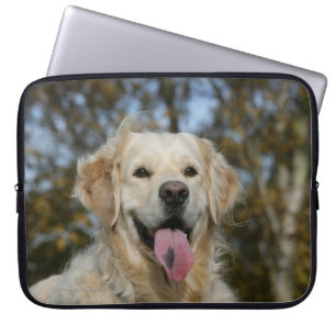 Capa Para Notebook Headshot 3 do golden retriever