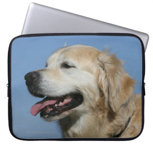 Capa Para Notebook Headshot 4 do golden retriever