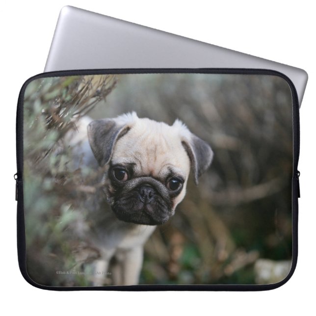 Capa Para Notebook Headshot do filhote de cachorro do Pug da jovem (Frente)