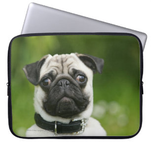 Capa Para Notebook Headshot do Pug