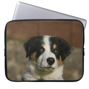 Capa Para Notebook Headshot semanas de idade do filhote de cachorro
