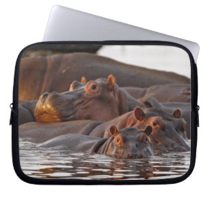 Capa Para Notebook Hipopótamo, Hippopotamus amphibius, Lago