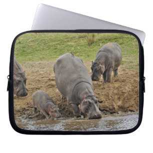 Capa Para Notebook Hipopótamo, Hippopotamus amphibius, Serengeti